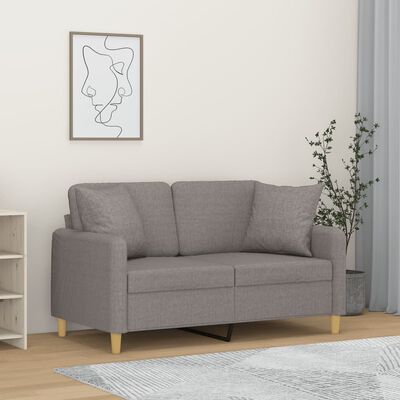 vidaXL 2-osobowa sofa z poduszkami, jasnoszara, 120 cm, tkanina