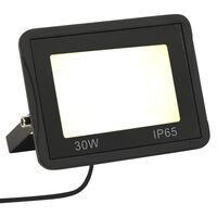 vidaXL Reflektor LED, 30 W, ciepłe białe światło