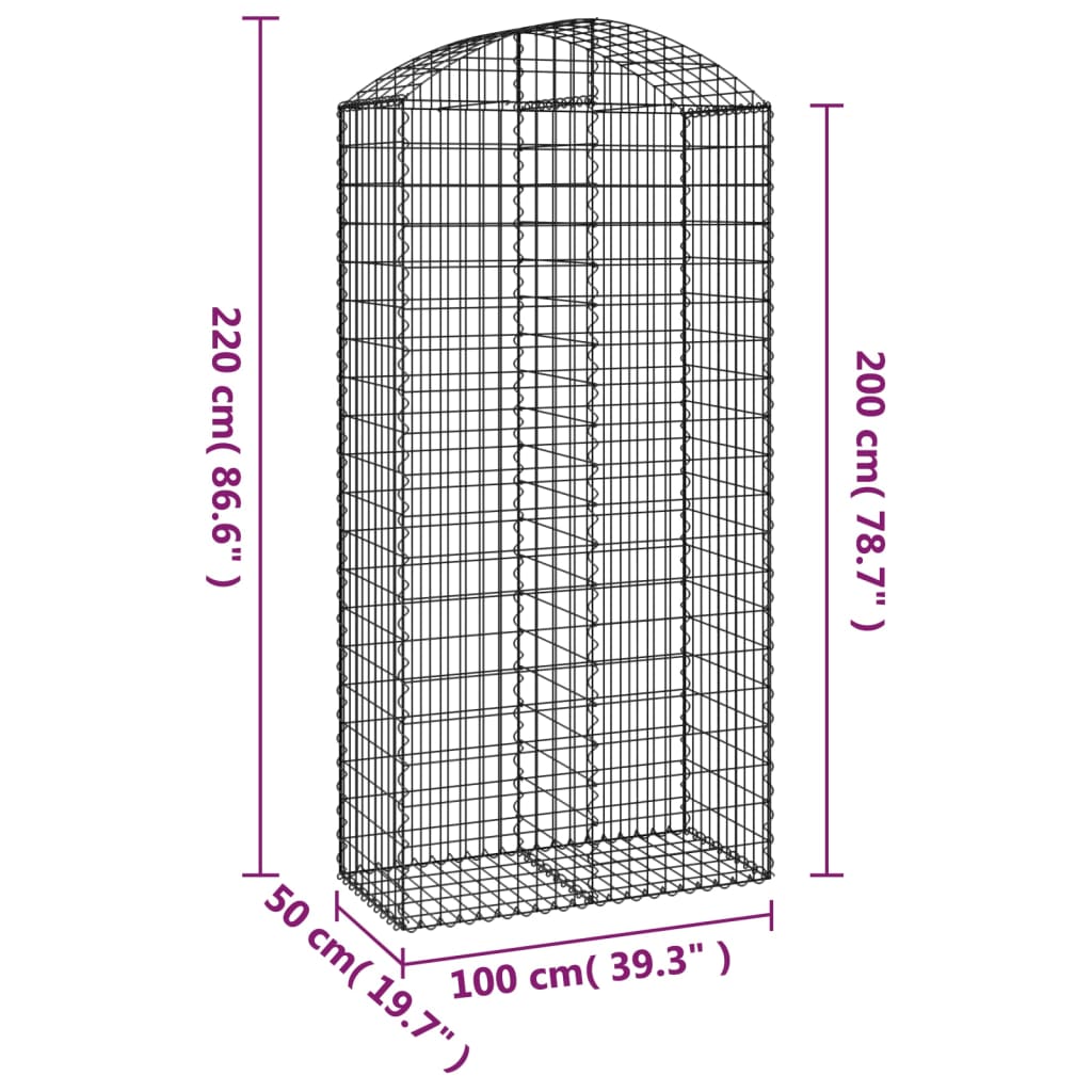 vidaXL Łukowaty kosz gabionowy 100x50x200/220 cm, galwanizowane żelazo